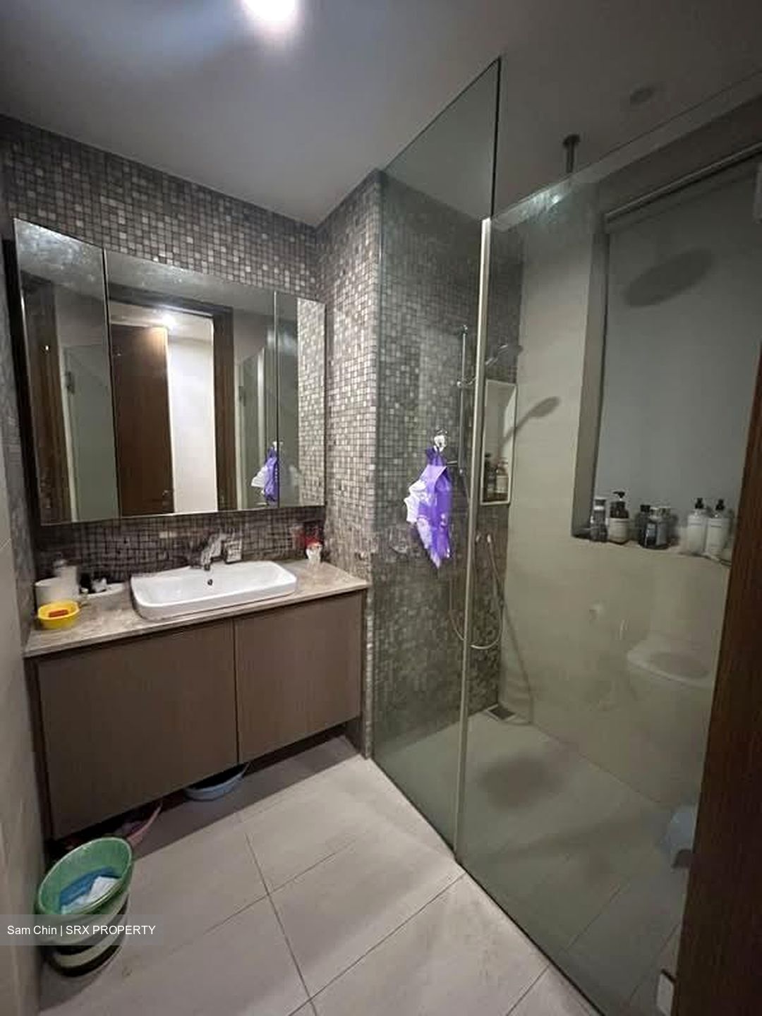 The Tembusu (D19), Condominium #589152381